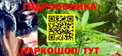 кокс Аша