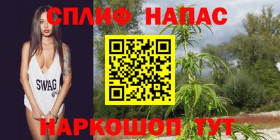 кокс Аша