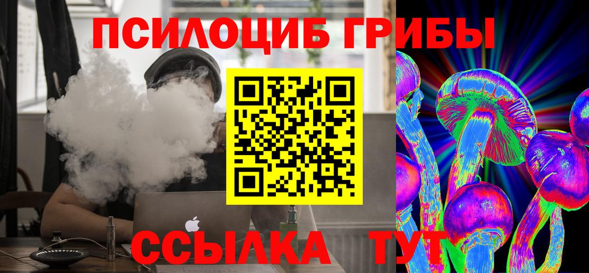 Псилоцибиновые грибы MAGIC MUSHROOMS  Вход с VPN  Псилоцибиновые грибы Cubensis  Керчь 
