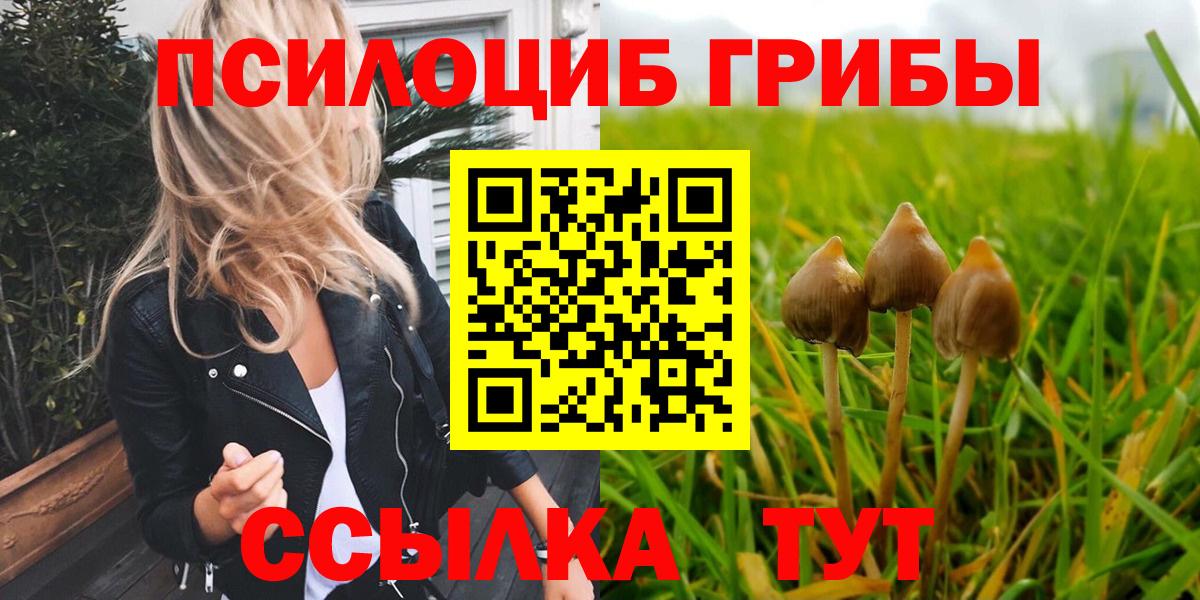 Псилоцибиновые грибы MAGIC MUSHROOMS Керчь